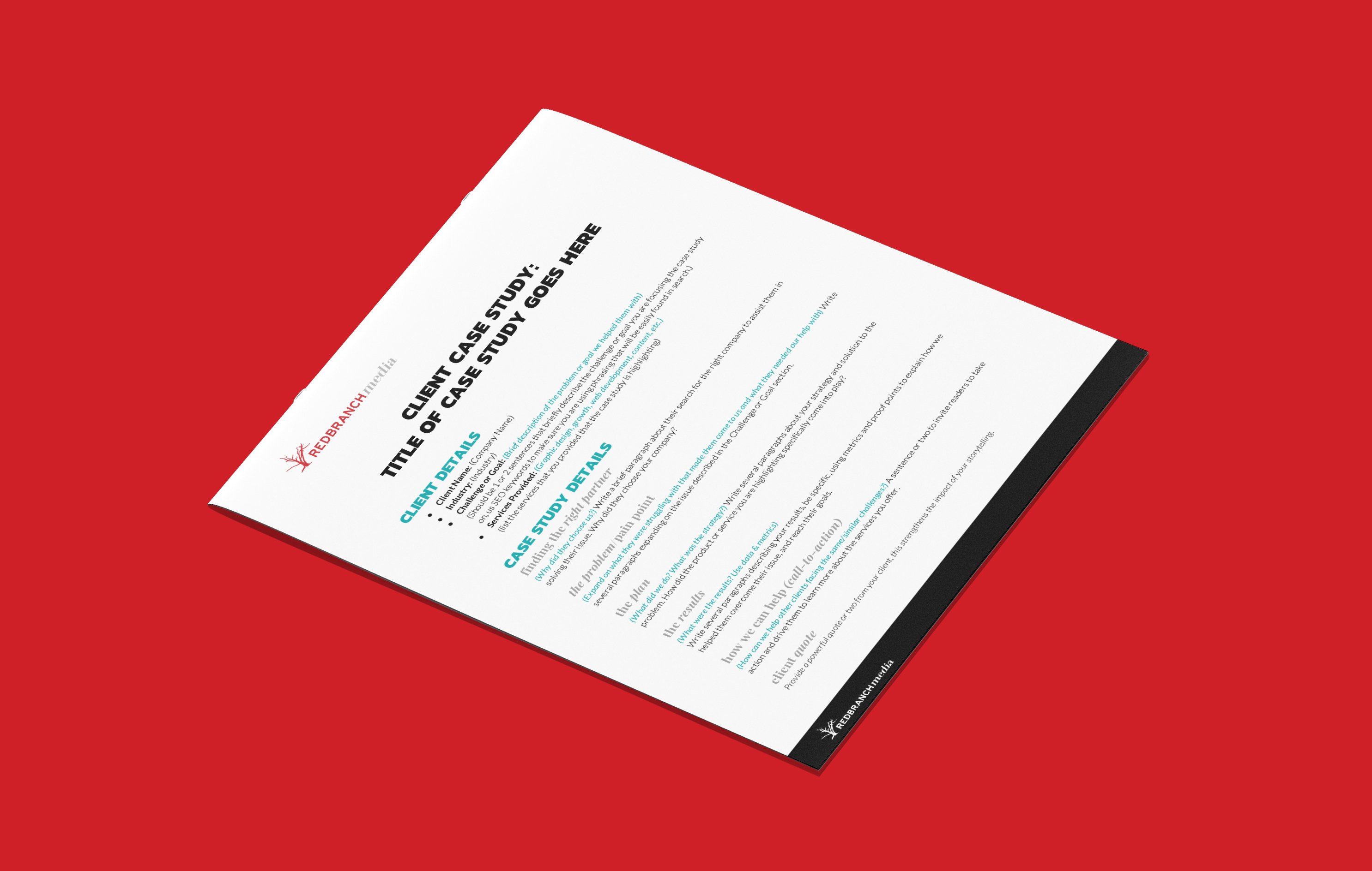 media case study template